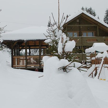 Gutsulwood Villa Yablunytsya Ngoại thất bức ảnh